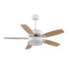 VENTILADOR BRAW
